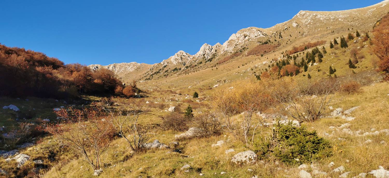 Drežniške Ravne - Lopatnik slika 34