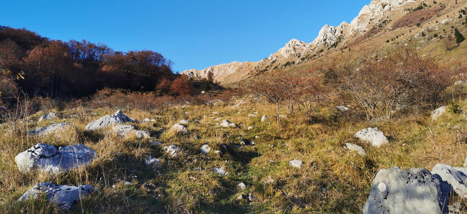 Drežniške Ravne - Lopatnik slika 35