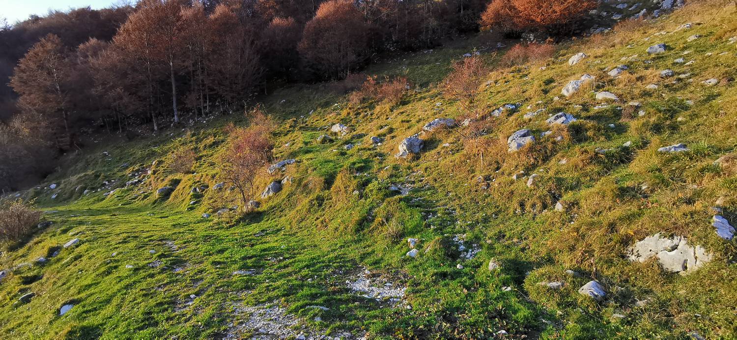 Drežniške Ravne - Lopatnik slika 36