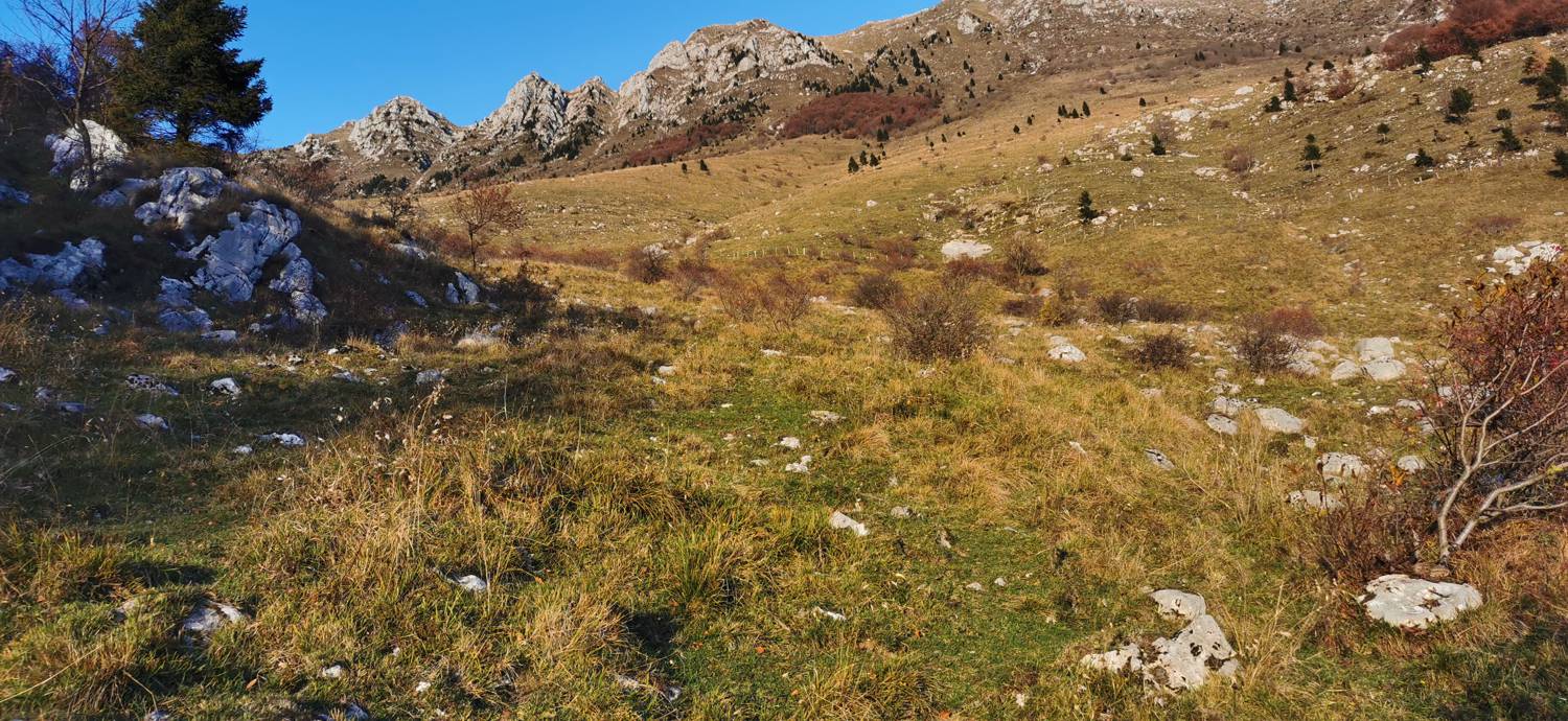 Drežniške Ravne - Lopatnik slika 38