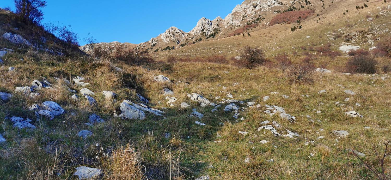 Drežniške Ravne - Lopatnik slika 39