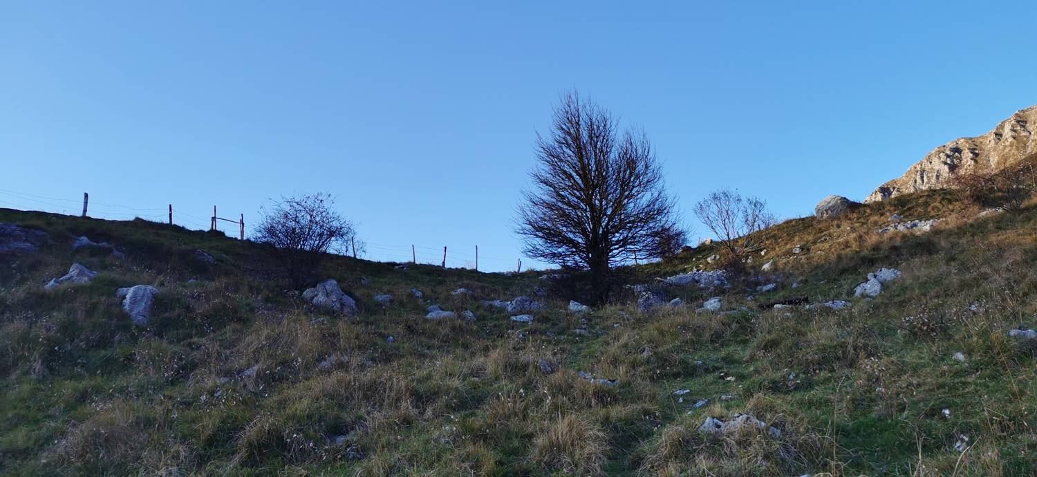 Drežniške Ravne - Lopatnik slika 40