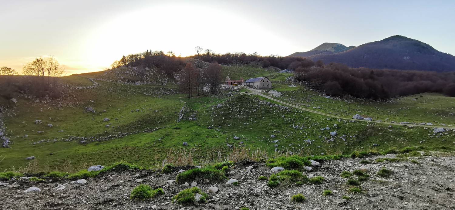 Drežniške Ravne - Planina Zapleč - main photo