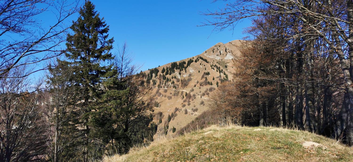 Otavnik main photo