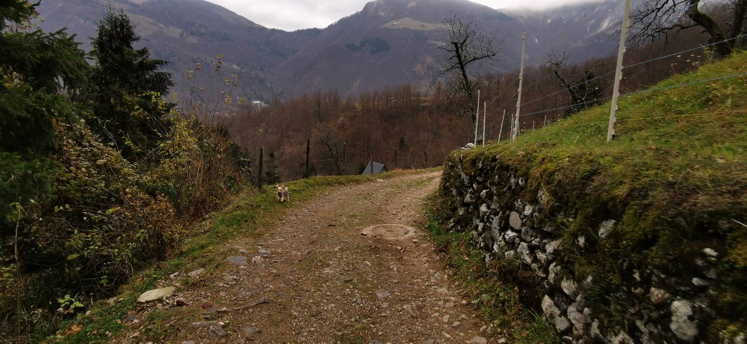 Čadrg - Razgledišče Žlejžn slika 6