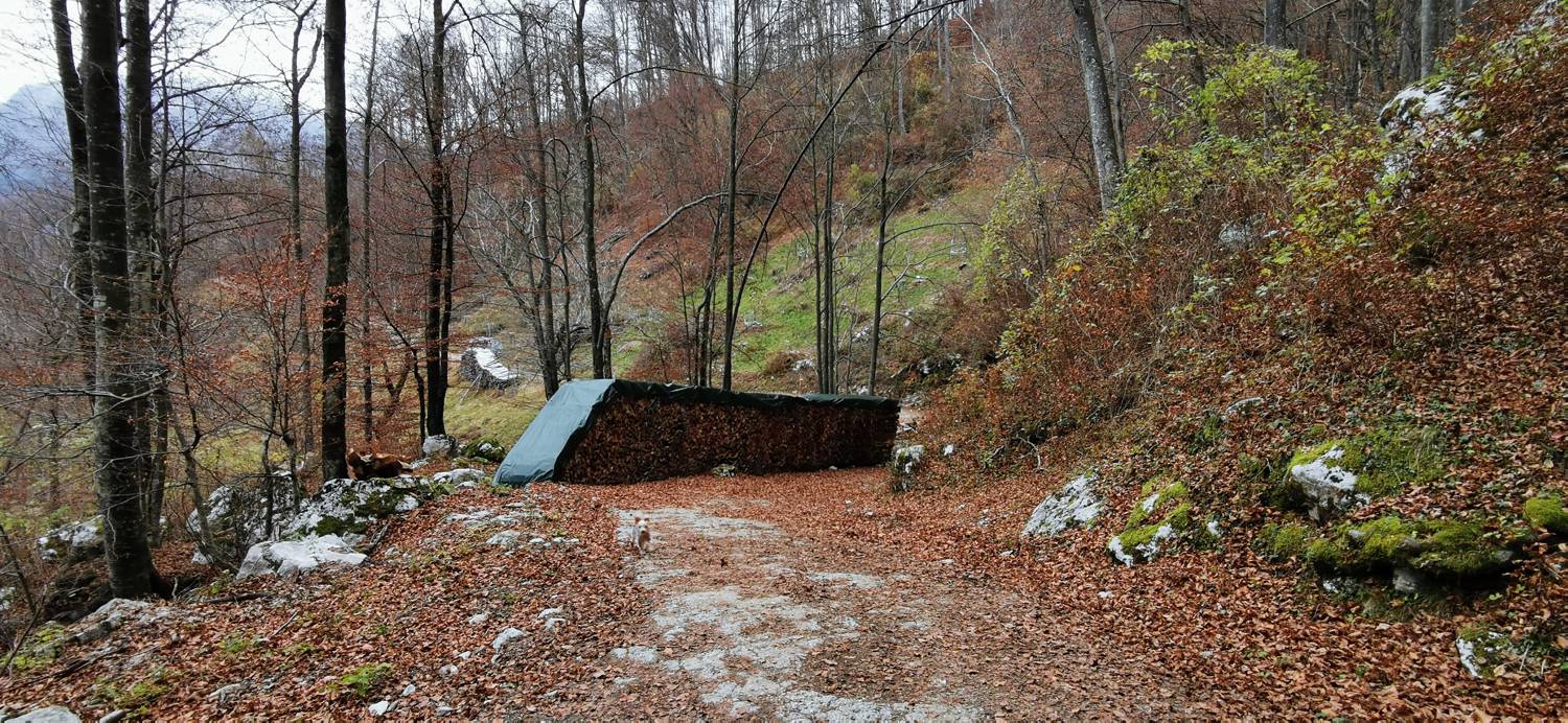 Čadrg - Razgledišče Žlejžn slika 7