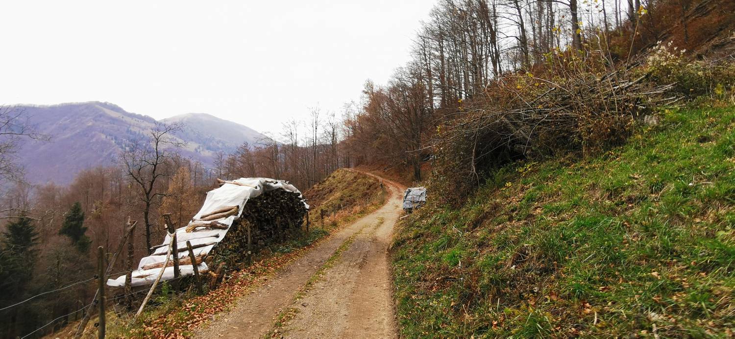 Čadrg - Razgledišče Žlejžn slika 9