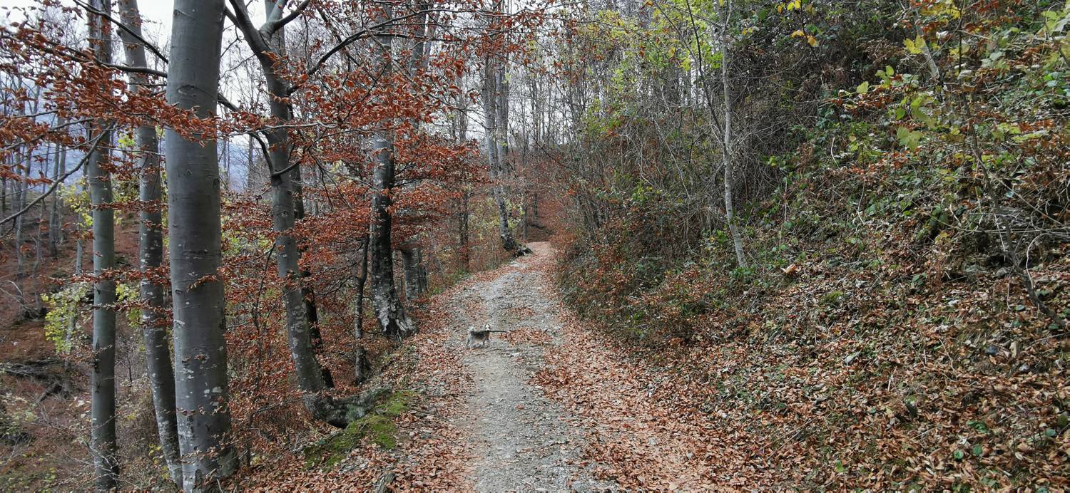 Čadrg - Razgledišče Žlejžn slika 10