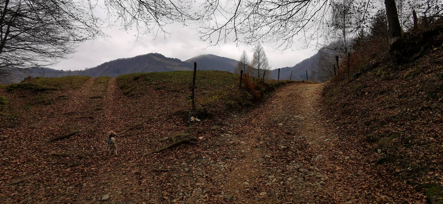 Čadrg - Razgledišče Žlejžn slika 12
