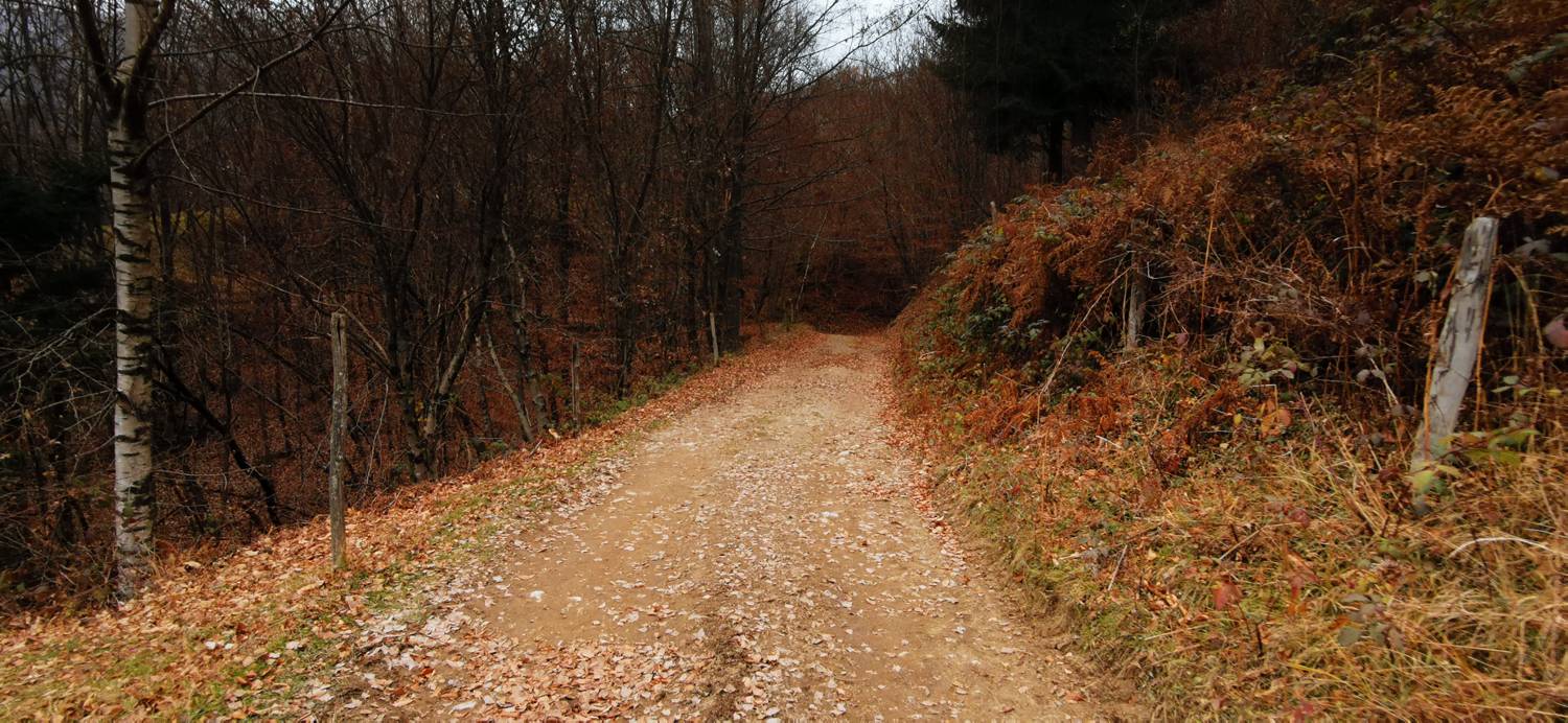 Čadrg - Razgledišče Žlejžn slika 14