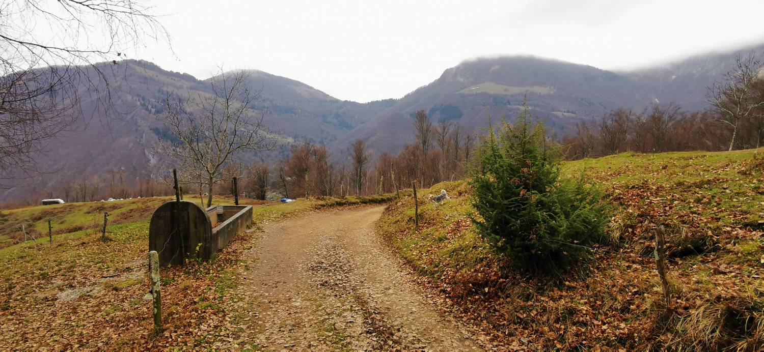 Čadrg - Razgledišče Žlejžn slika 15