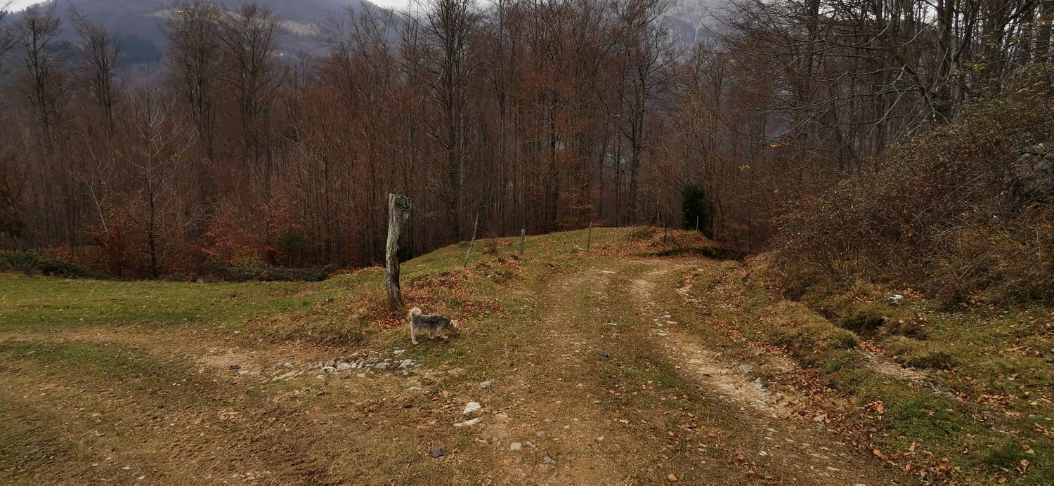 Čadrg - Razgledišče Žlejžn slika 16