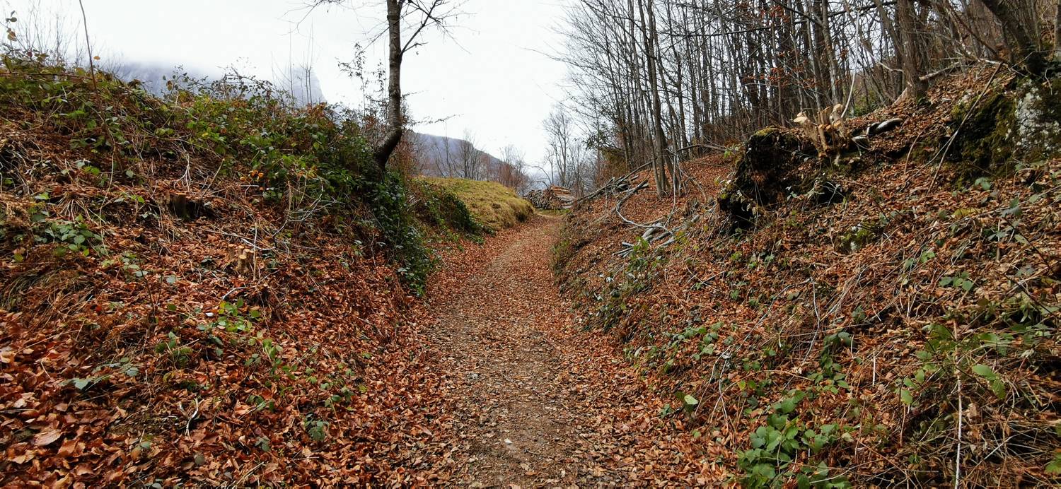Čadrg - Razgledišče Žlejžn slika 17