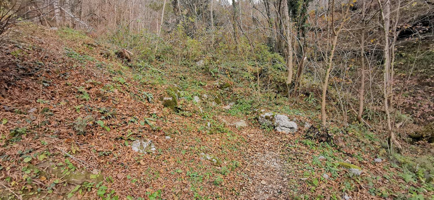 Klavže - Zdravilni izvir Dicova voda slika 4