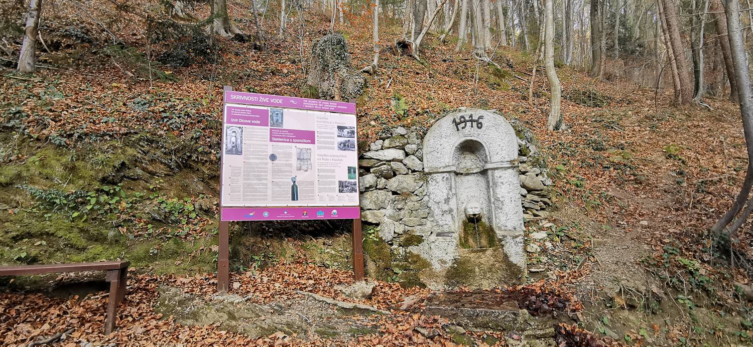 Zdravilni izvir Dicova voda main photo