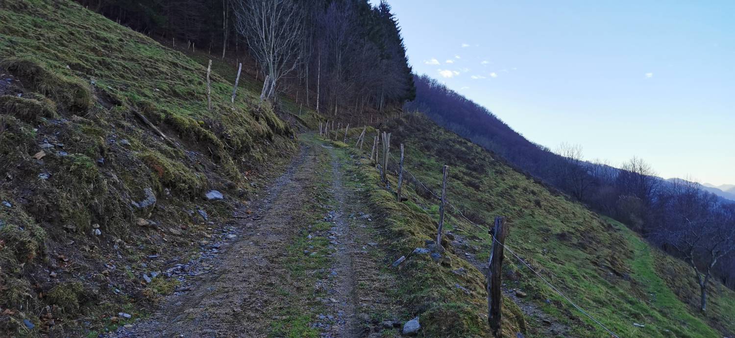 Grahovo ob Bači - Bukovski vrh slika 6