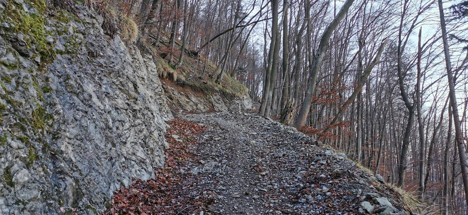 Grahovo ob Bači - Bukovski vrh slika 8