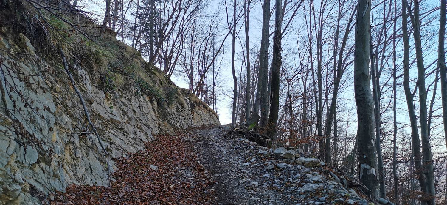 Grahovo ob Bači - Bukovski vrh slika 9