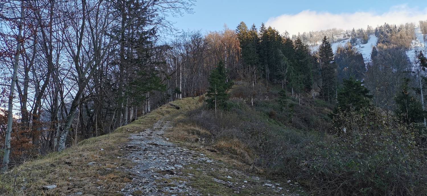 Grahovo ob Bači - Bukovski vrh slika 10