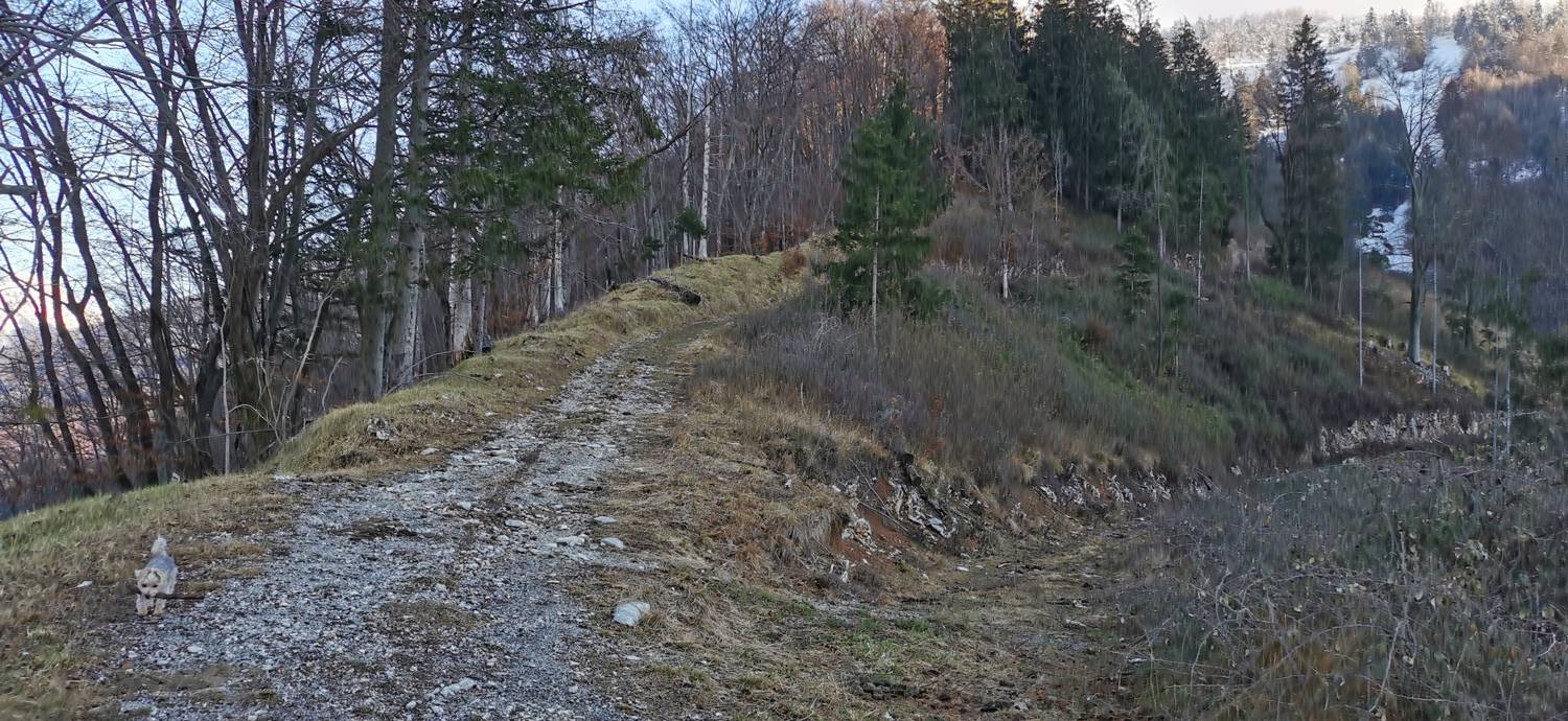 Grahovo ob Bači - Bukovski vrh slika 11