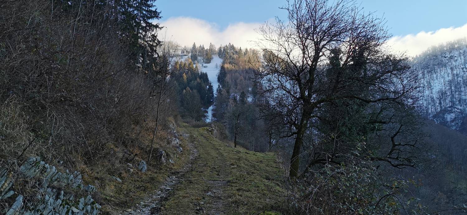 Grahovo ob Bači - Bukovski vrh slika 13