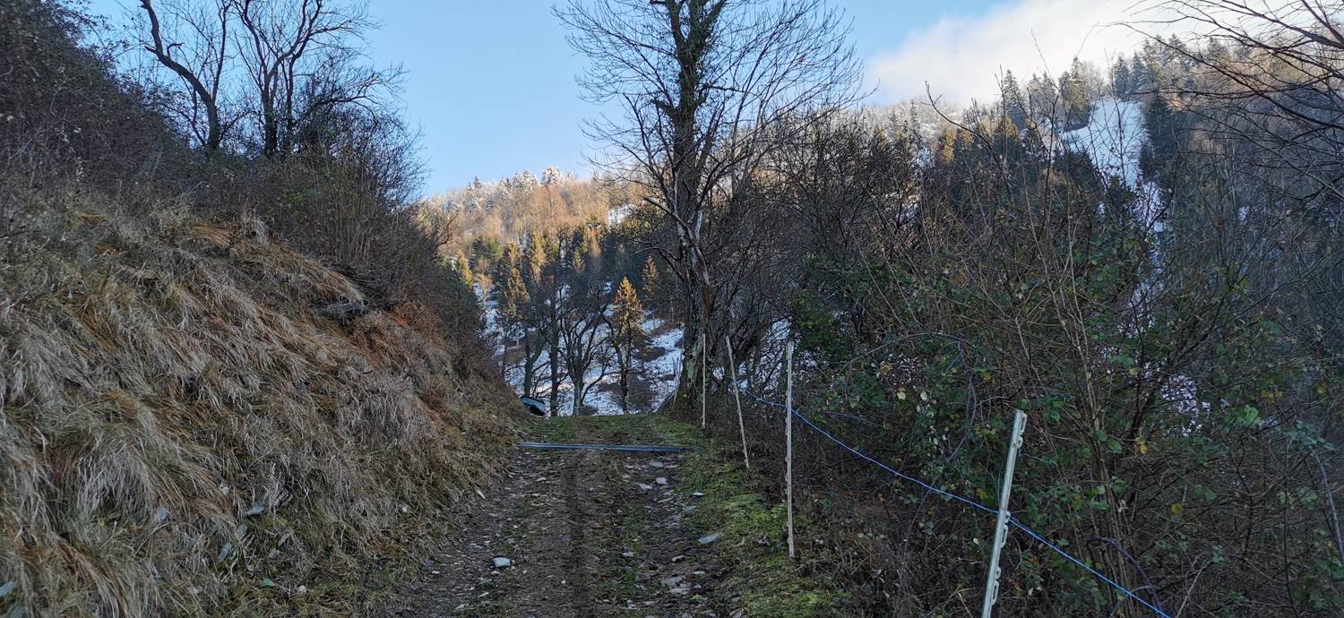 Grahovo ob Bači - Bukovski vrh slika 14