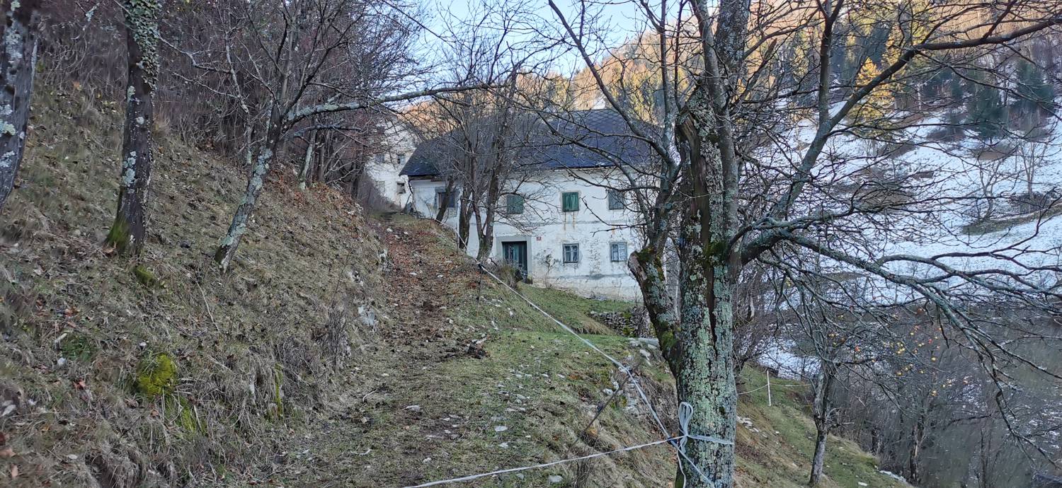 Grahovo ob Bači - Bukovski vrh slika 15
