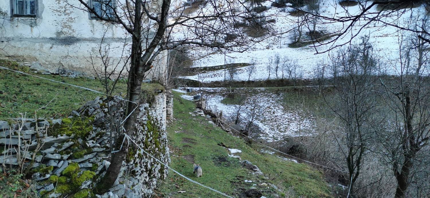 Grahovo ob Bači - Bukovski vrh slika 16