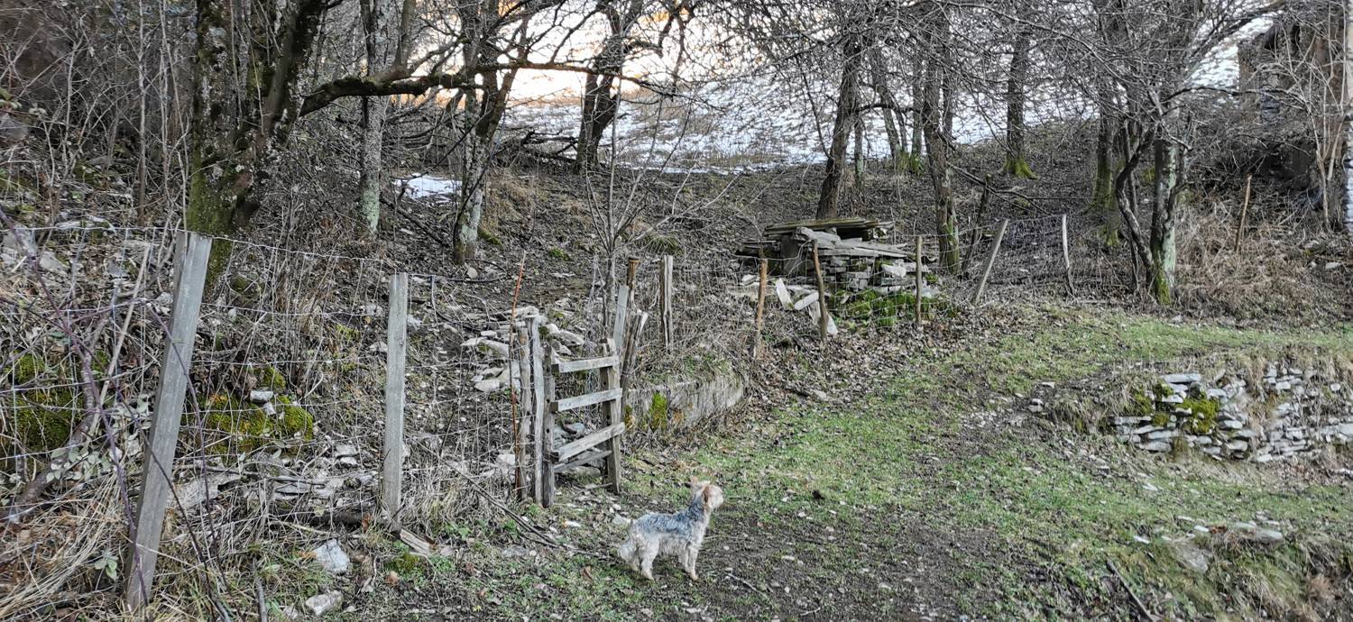 Grahovo ob Bači - Bukovski vrh slika 18
