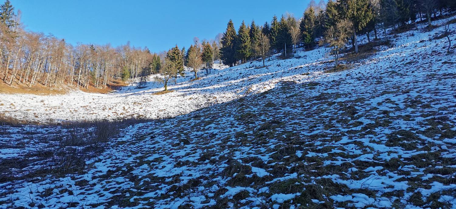 Grahovo ob Bači - Bukovski vrh slika 19