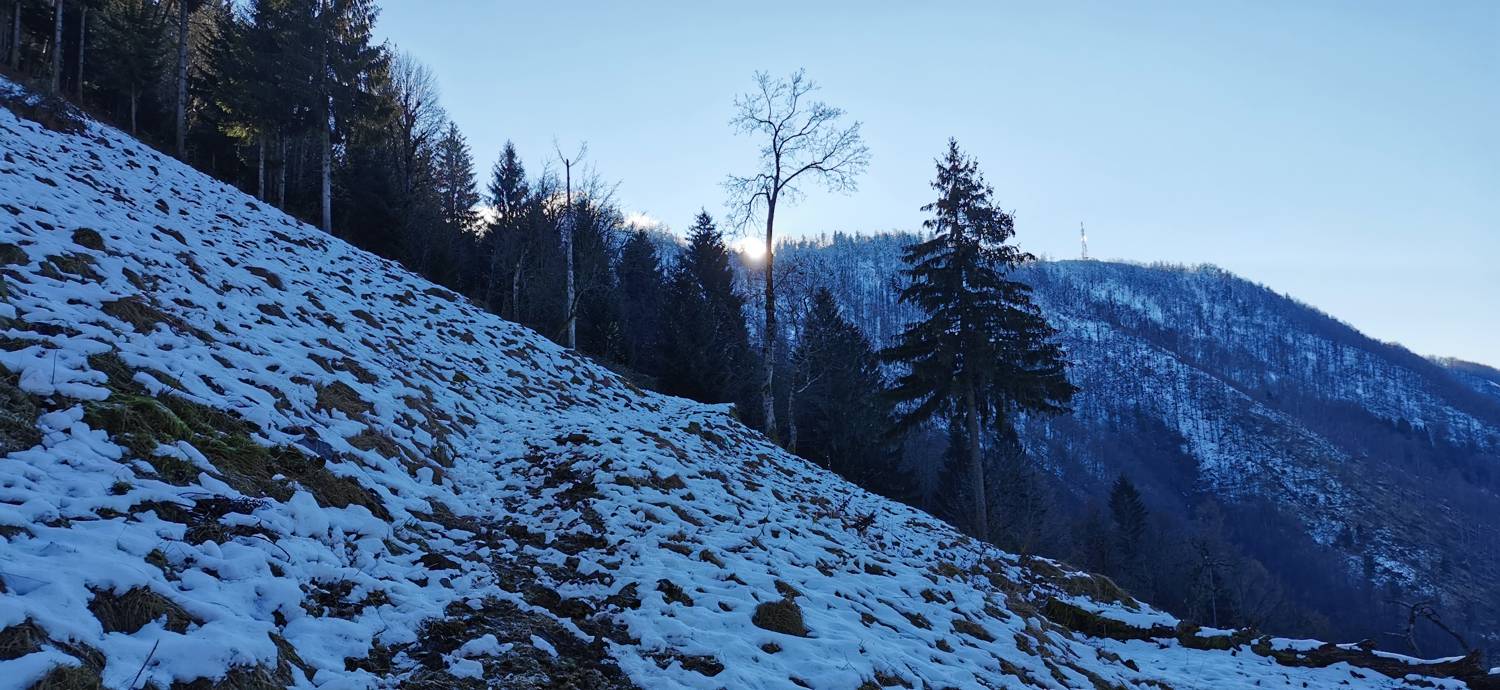 Grahovo ob Bači - Bukovski vrh slika 20