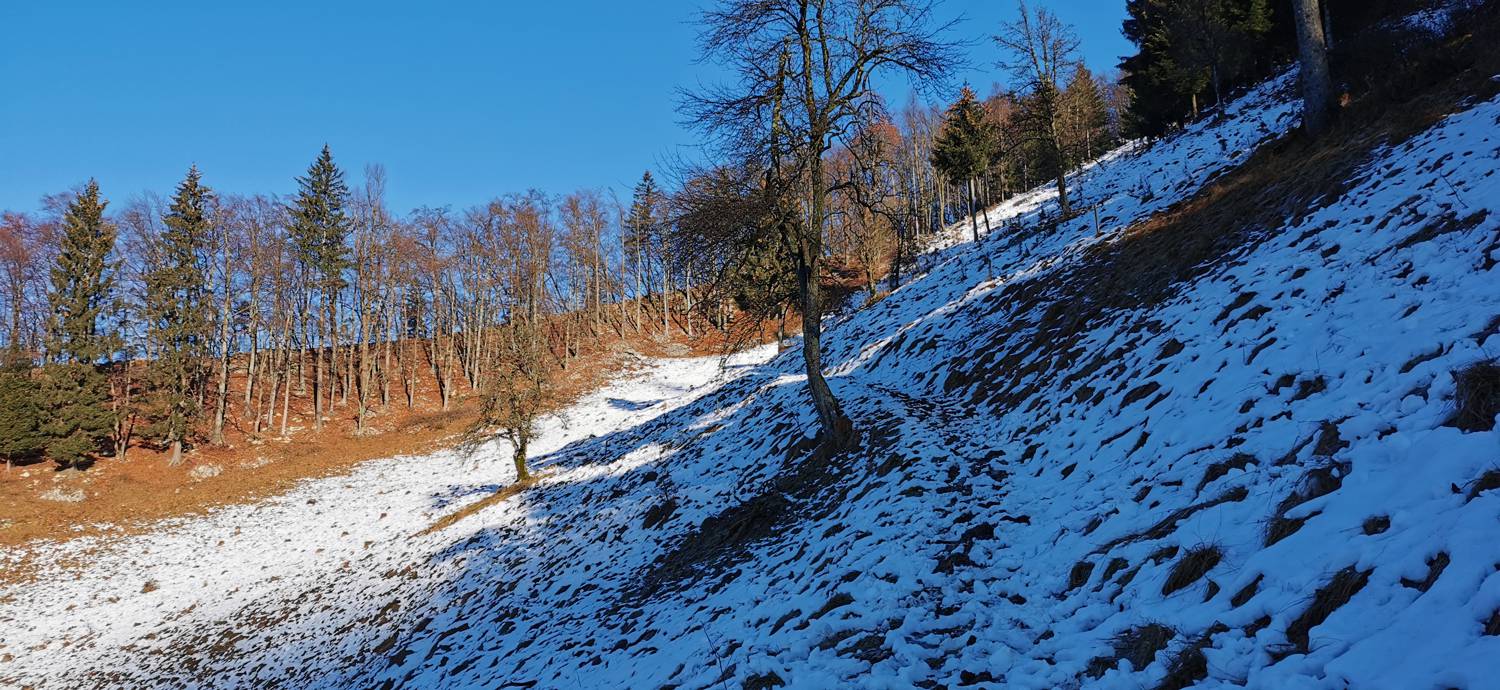 Grahovo ob Bači - Bukovski vrh slika 23