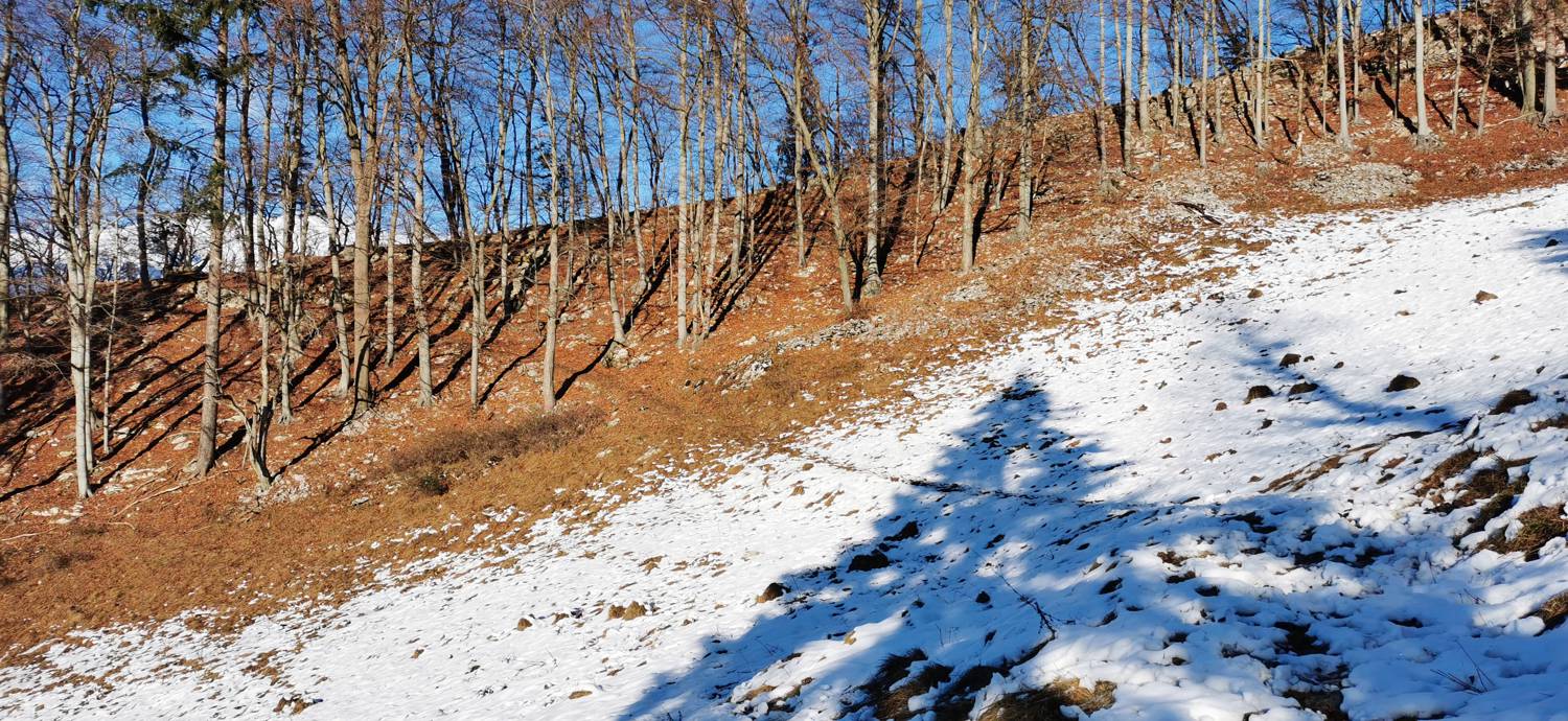 Grahovo ob Bači - Bukovski vrh slika 24