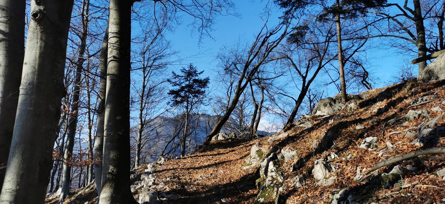 Grahovo ob Bači - Bukovski vrh slika 25
