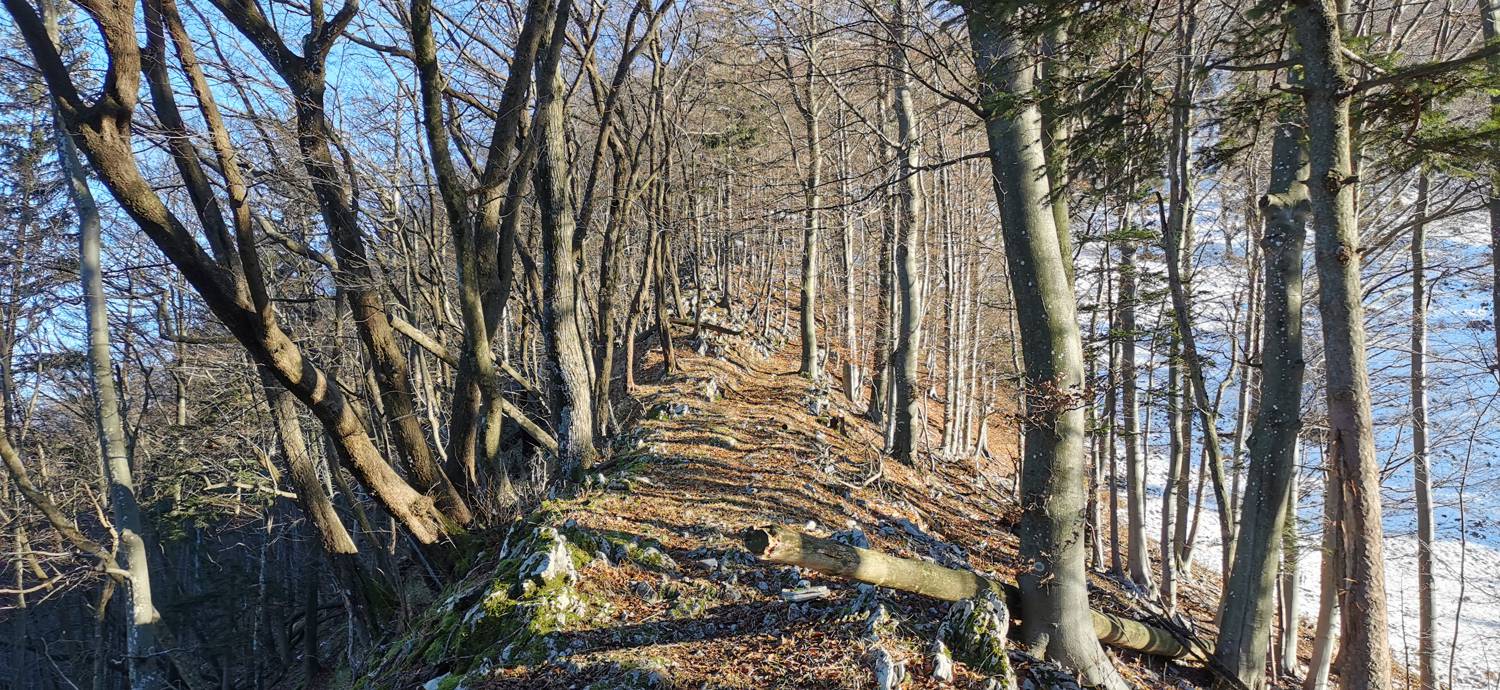 Grahovo ob Bači - Bukovski vrh slika 26