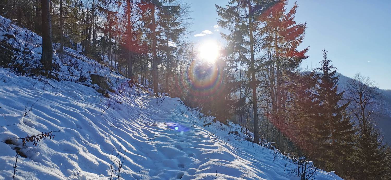 Grahovo ob Bači - Bukovski vrh slika 28