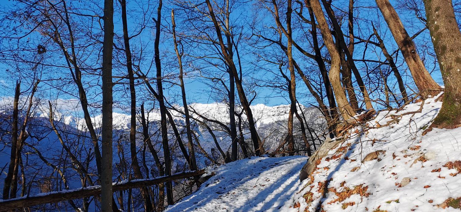Grahovo ob Bači - Bukovski vrh slika 30