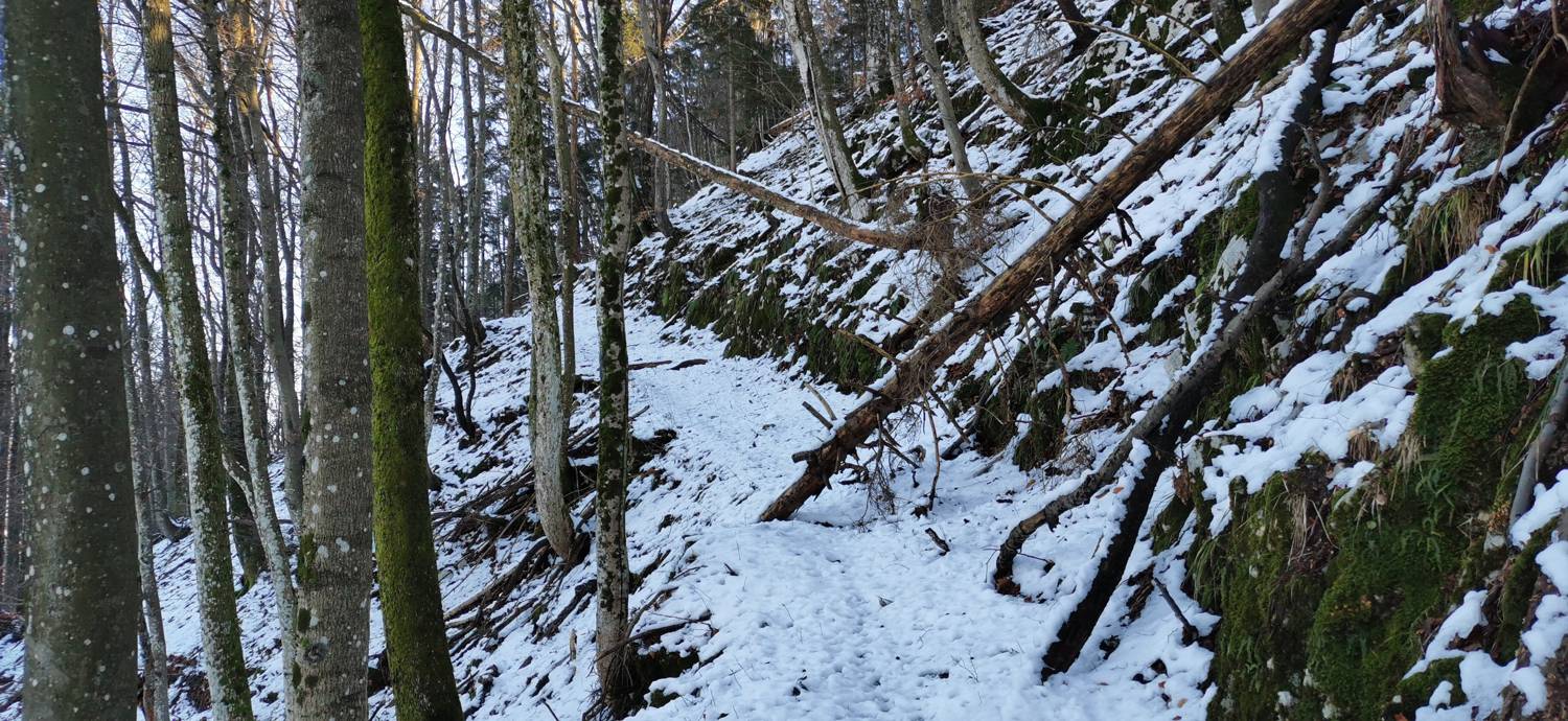 Grahovo ob Bači - Bukovski vrh slika 31