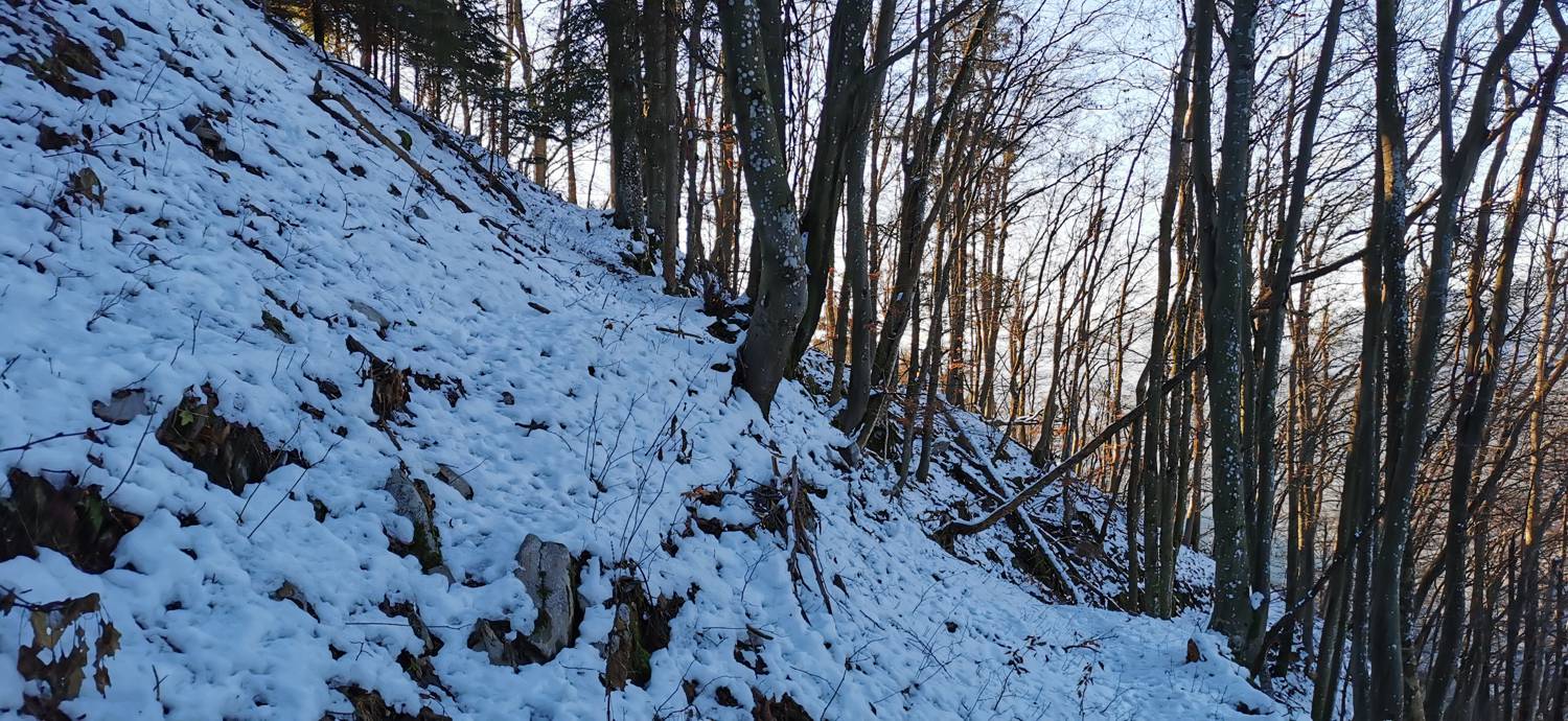 Grahovo ob Bači - Bukovski vrh slika 32
