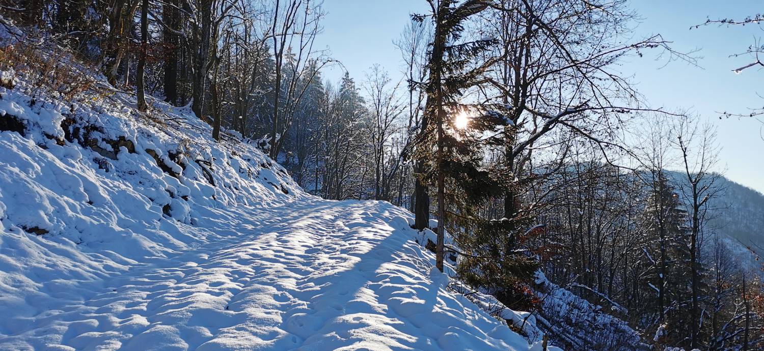 Grahovo ob Bači - Bukovski vrh slika 34