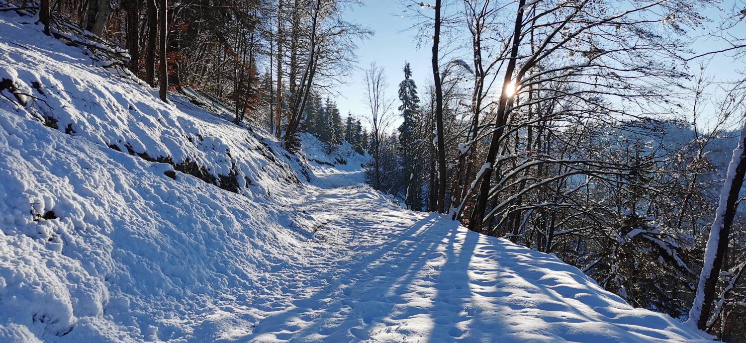 Grahovo ob Bači - Bukovski vrh slika 36