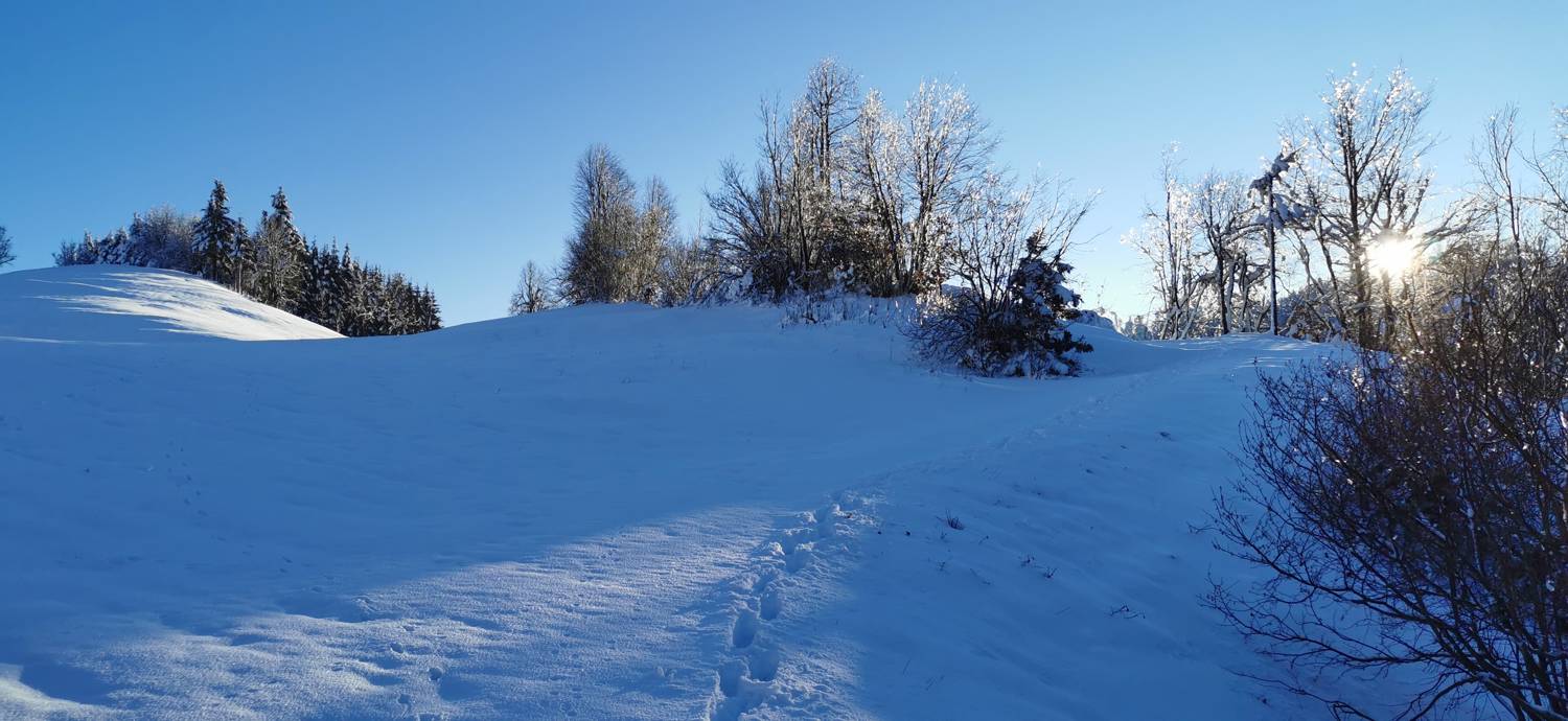 Grahovo ob Bači - Bukovski vrh slika 39