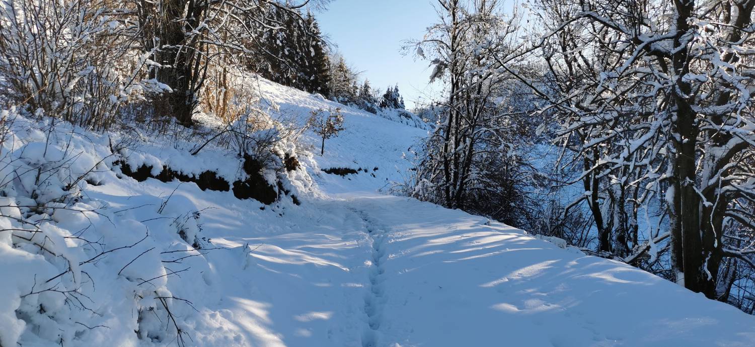Grahovo ob Bači - Bukovski vrh slika 40