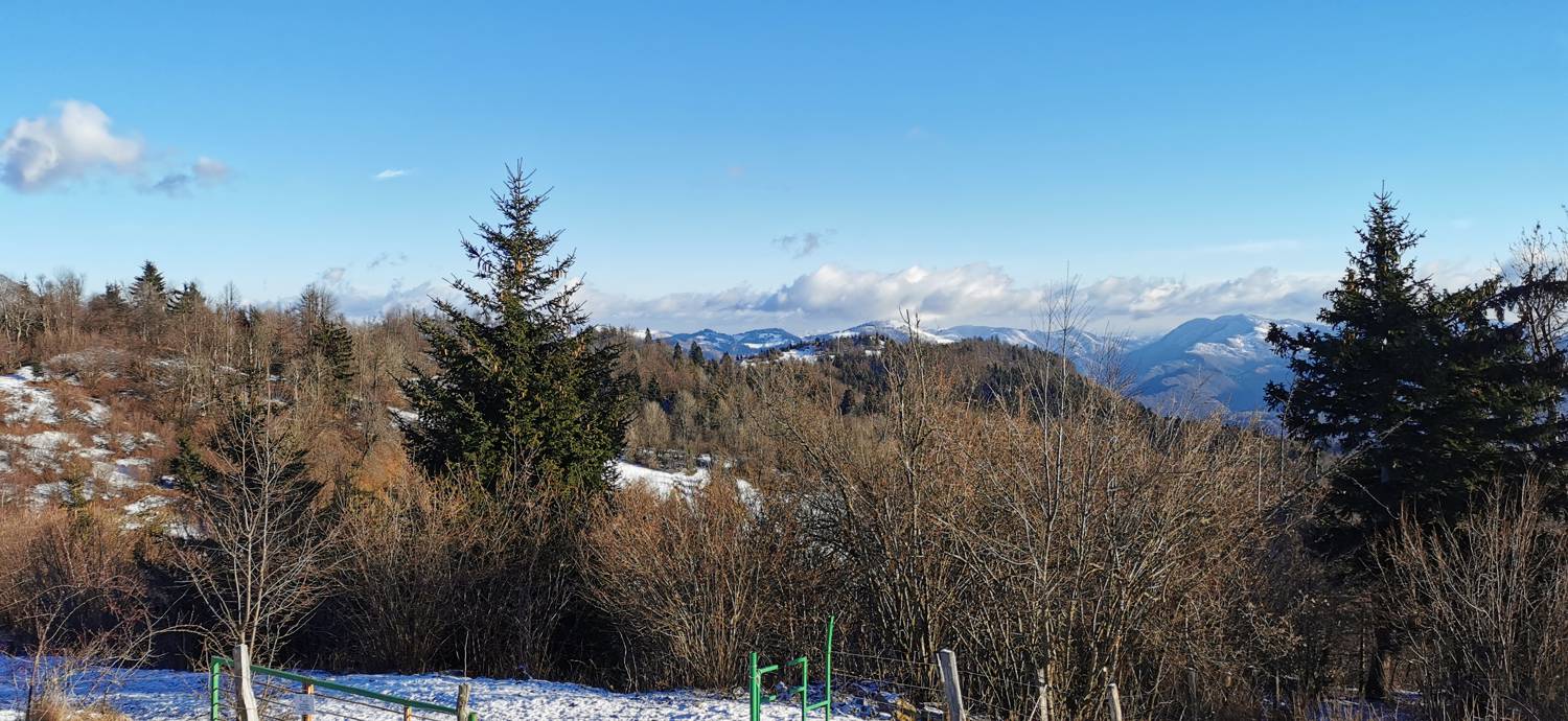 Pečine - Črvov vrh slika 14