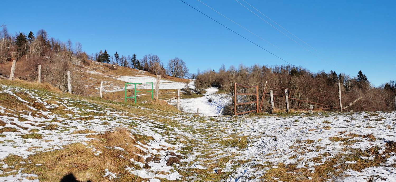 Pečine - Črvov vrh slika 11
