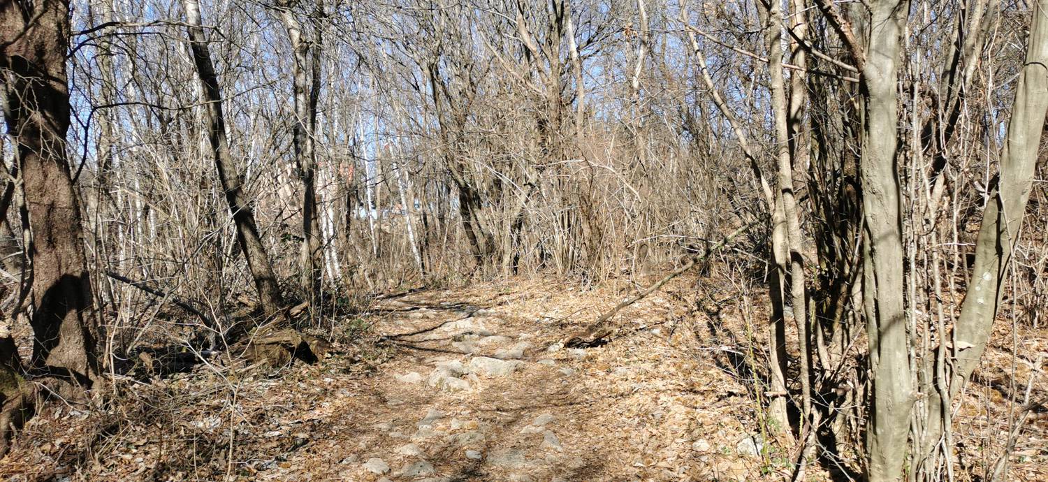 Parkirišče Lovska koča Dobrovo - Planinsko zavetišče na Koradi slika 19