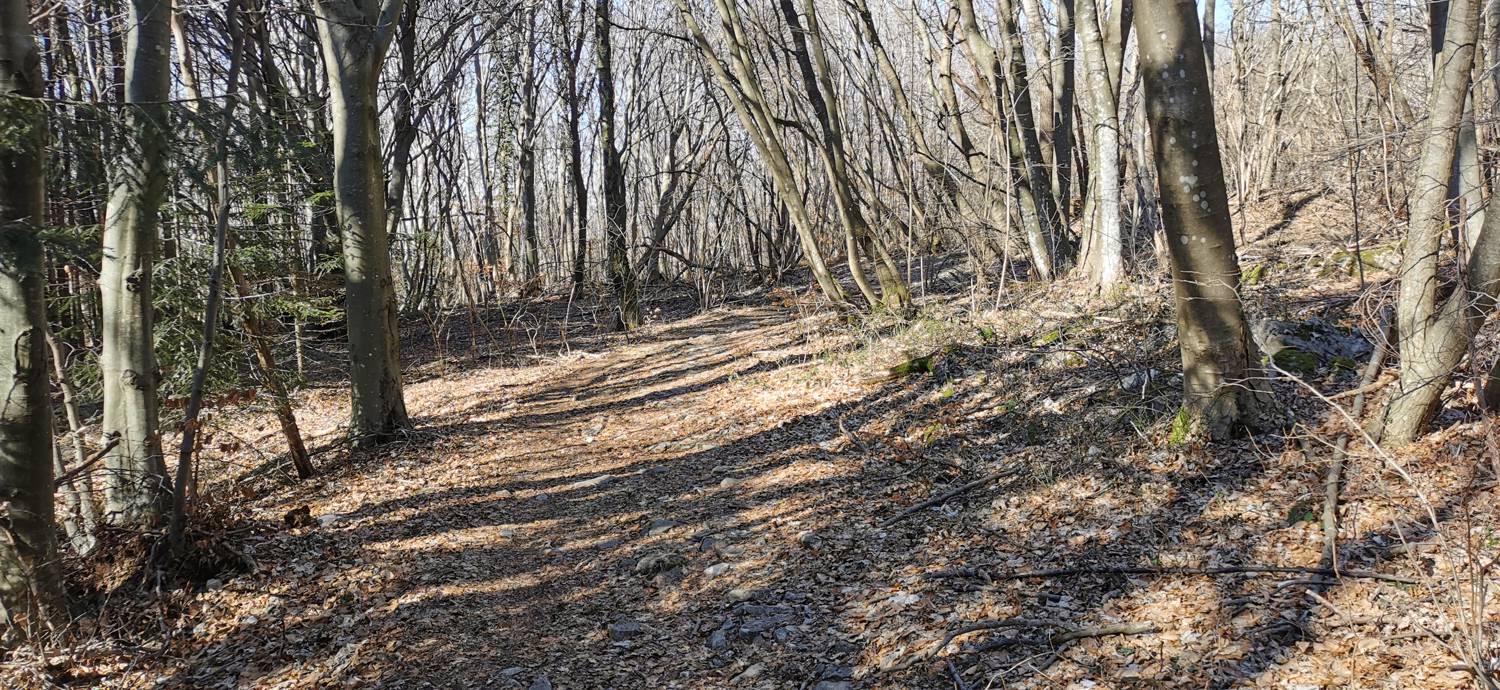 Parkirišče Lovska koča Dobrovo - Planinsko zavetišče na Koradi slika 18