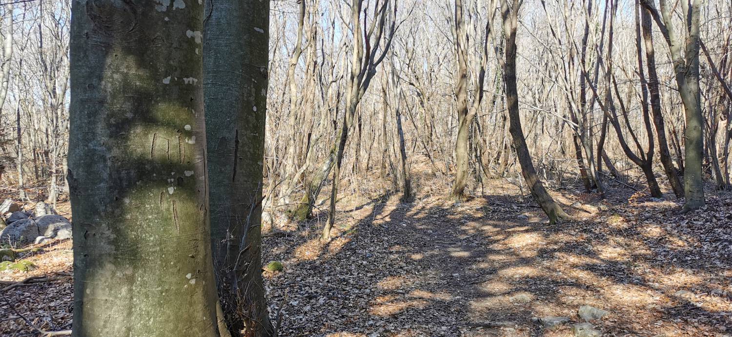 Parkirišče Lovska koča Dobrovo - Planinsko zavetišče na Koradi slika 17