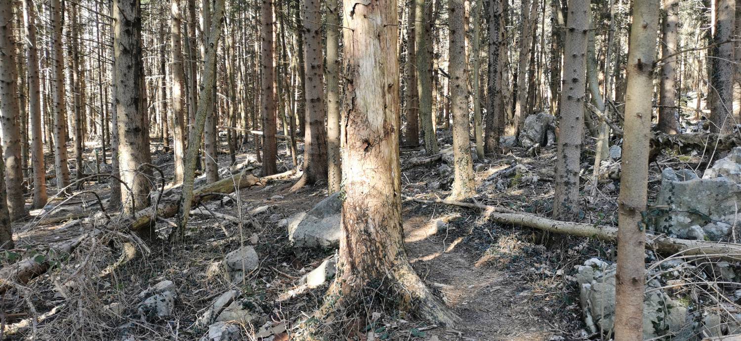 Parkirišče Lovska koča Dobrovo - Planinsko zavetišče na Koradi slika 16