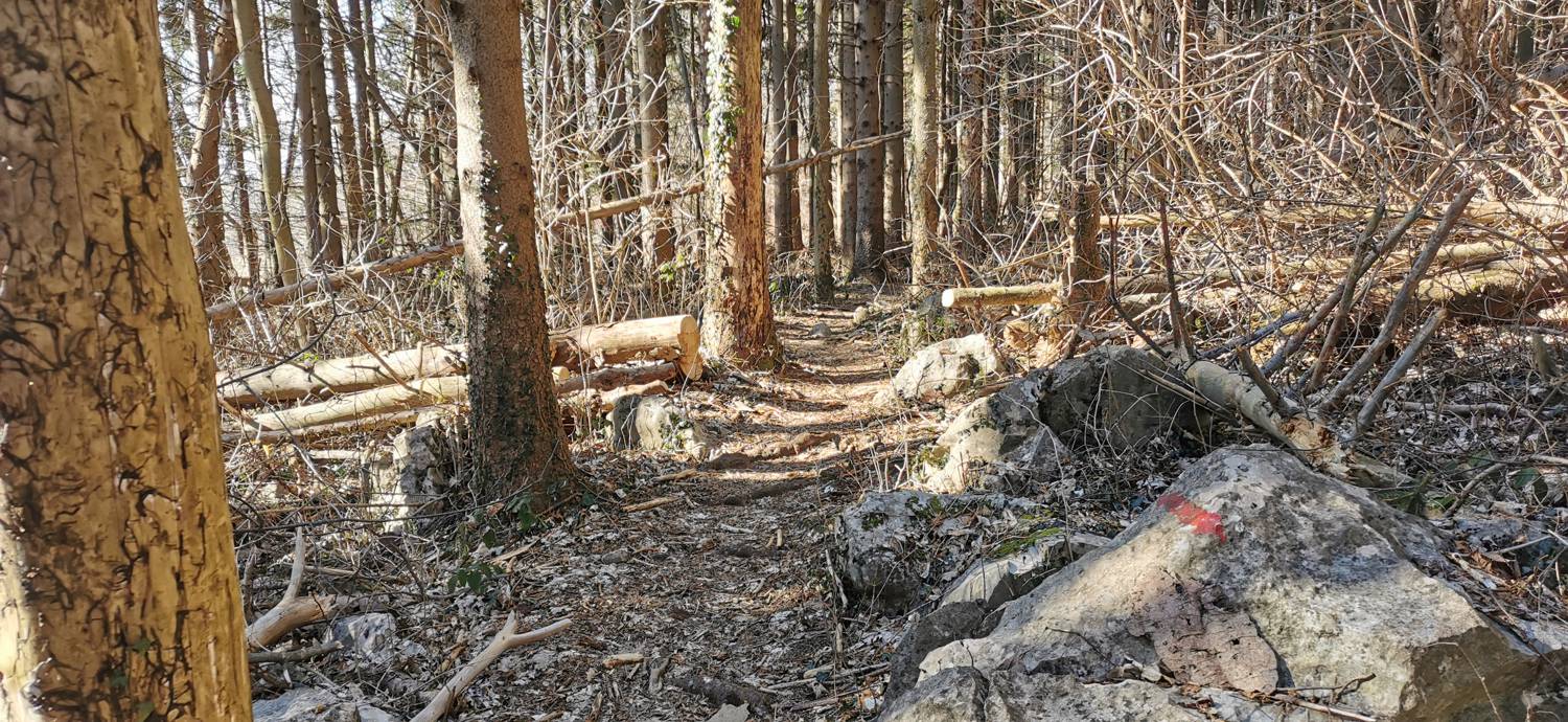 Parkirišče Lovska koča Dobrovo - Planinsko zavetišče na Koradi slika 15